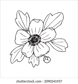 Vector Hand Drawn Line Art Drawing of Flower. Minimalist Trendy Contemporary Floral Design Perfect for Wall Art, Prints, Social Media, Posters, Invitations, Branding Design.