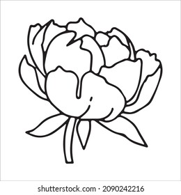Vector Hand Drawn Line Art Drawing of Flower. Minimalist Trendy Contemporary Floral Design Perfect for Wall Art, Prints, Social Media, Posters, Invitations, Branding Design.