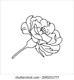 Dibujo de la flor con la línea dibujada por la mano del vector. Diseño floral contemporáneo y minimalista, perfecto para el arte mural, pinturas, medios sociales, afiches, invitaciones, diseño de marca.