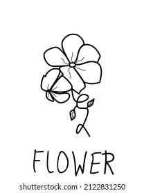Dibujo de la flor con la línea dibujada por la mano del vector. Diseño floral contemporáneo y minimalista, perfecto para el arte mural, las impresiones, los medios sociales, los afiches, las invitaciones, el diseño de marca, el espacio de copia.