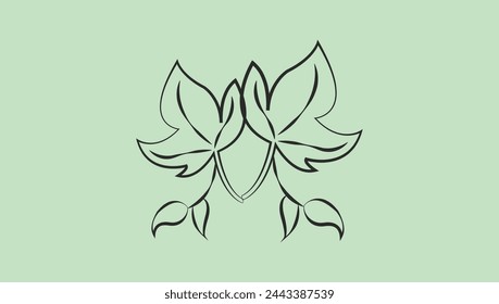 Vector hand drawn line art illustration.