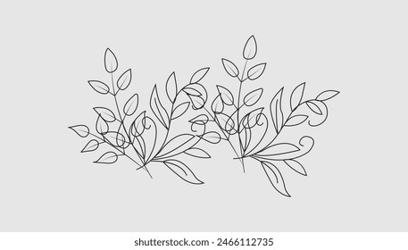 Vector hand drawn line art illustration.
