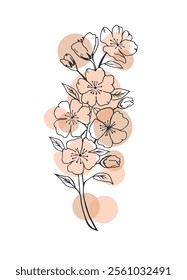 Vector hand drawn line art sakura flowers. Design for wall art, greeting cards, posters, prints.