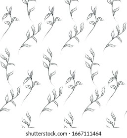 Vector Hand Drawn Line Drawing Doodle Floral Seamless Pattern with Wildflowers, Plants, Branches, Leaves. Design Elements Illustration. Branding. Swatch