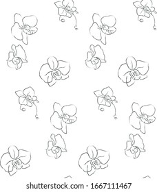 Dibujo de caracoles de la mano de los vectores con motivos florales sin soldadura con flores silvestres, plantas, ramas, hojas, flores de orquídea. Ilustración de elementos de diseño. Promoción de marca. Ver