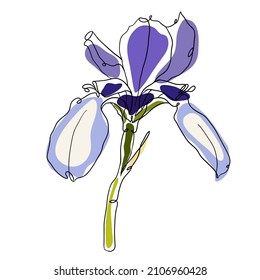 Vektorhandgezeichnete Illustration einer Iris mit abstrakten hellen Formen. Stilisierte Blume für Etiketten, Logos, Einladungen oder Verpackungsdesign. 