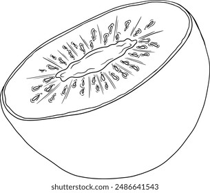 Vector hand drawn line Kiwifruit or Chinese gooseberry, or yangtaosign. Tropical exotic fruit. 