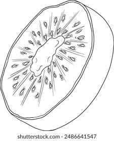 Vector hand drawn line Kiwifruit or Chinese gooseberry, or yangtaosign. Tropical exotic fruit. 