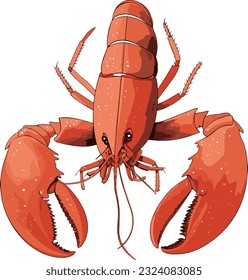 Vector hand drawn lobster illustration