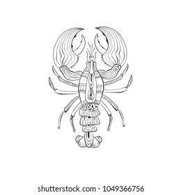 Vector  hand drawn Lobster. Retro vintage style. Menu