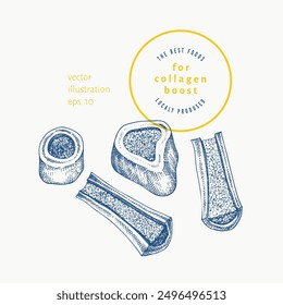 Vector Hand Drawn Marrow Bones Illustration. Collagen Diet Food Illustration. Vintage Style Marrow Bones