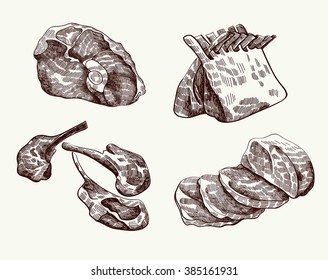 vector hand drawn meat illustration