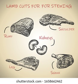 Vector hand drawn meat set for lamb cuts for stewing.