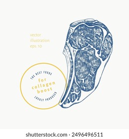 Vector Hand Drawn Meat Steak Illustration. Collagen Diet Food Illustration. Vintage Style Beef Steak