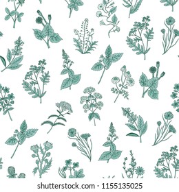 Vector hand drawn medical herbs pattern or background illustration. Green plant herb, medicinal ingredient, grass botany Vector hand drawn medical herbs pattern or background illustration. Green plant herb, medicinal ingredient, grass botany