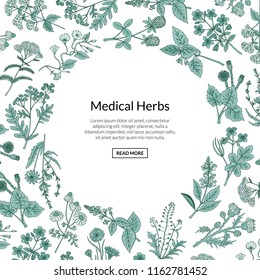 Vector hand drawn medical herbs background with place for text illustration. Herb plant aromatic, botany aroma, healthy and freshness flora