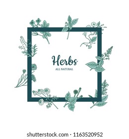 Vector hand drawn medical herbs flying around frame with place for text illustration