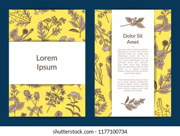 Vector hand drawn medical herbs card or flyer web banner template illustration