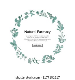 Vector hand drawn medical herbs in circle shape with place for text illustration