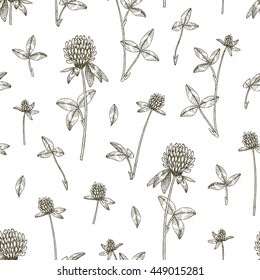 Vector hand drawn medicinal plant clover seamless pattern. Sketch, drawing, illustration of clover flower.