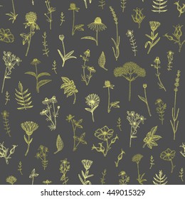 Vector hand drawn medicinal plant seamless pattern. Sketch, drawing, illustration of echinacea, calendula, clover, lavender, chamomile, dog rose, valerian, st. John's Wort plants.