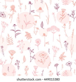 Vector hand drawn medicinal plant seamless pattern. Sketch, drawing, illustration of echinacea, calendula, clover, lavender, chamomile, dog rose, valerian, st. John's Wort plants.