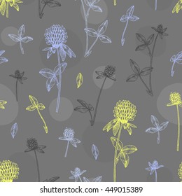 Vector hand drawn medicinal plant clover seamless pattern. Sketch, drawing, illustration of clover flower.