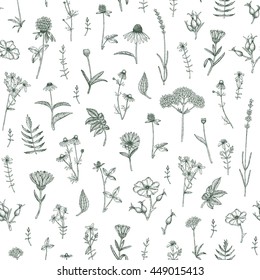 Vector hand drawn medicinal plant seamless pattern. Sketch, drawing, illustration of echinacea, calendula, clover, lavender, chamomile, dog rose, valerian, st. John's Wort plants.