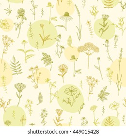Vector hand drawn medicinal plant seamless pattern. Sketch, drawing, illustration of echinacea, calendula, clover, lavender, chamomile, dog rose, valerian, st. John's Wort plants.