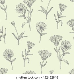 Vector hand drawn medicinal plant calendula seamless pattern. Sketch, drawing, illustration of calendula flower.
