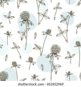 Vector hand drawn medicinal plant clover seamless pattern. Sketch, drawing, illustration of clover flower.