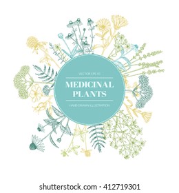 Vector hand drawn medicinal plants illustration, concept, template.