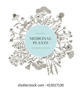 Vector hand drawn medicinal plants illustration, concept, template.