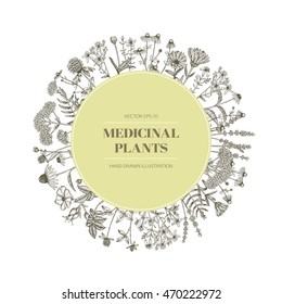 Vector hand drawn medicinal plants illustration, concept, template.