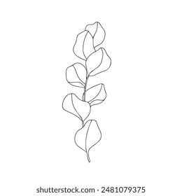 Vector hand drawn minimalist botanical art. Leaves outline drawing. Simple leaves line art