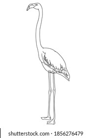 Vector hand drawn minimalistic illustration of flamingo. Creative artwork. Template for card, poster, banner, print for t-shirt, pin, badge, patch.