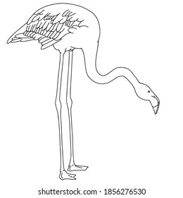 Vector hand drawn minimalistic illustration of flamingo. Creative artwork. Template for card, poster, banner, print for t-shirt, pin, badge, patch.