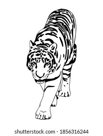 Vector hand drawn minimalistic illustration of tiger. Creative artwork. Template for card, poster, banner, print for t-shirt, pin, badge, patch.