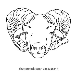 Vector hand drawn minimalistic illustration of ram. Creative artwork. Template for card, poster, banner, print for t-shirt, pin, badge, patch.