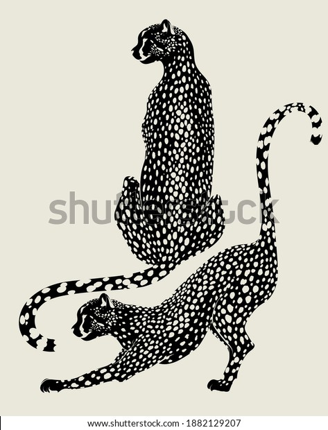 Vector hand drawn minimalistic illustration of cheetah . Creative artwork. Template for card, poster, banner, print for t-shirt, pin, badge, patch.