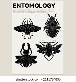 Vector  hand drawn  minimalistic placard with illustration. Creative artwork with beetle. Template for card, poster, banner, print for t-shirt, pin, badge, patch.