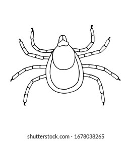 Vector hand drawn of mite outline doodle icon. Insect sketch illustration isolated on white background.