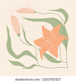 Vector hand drawn modern illustration. Flat style tyger lily flower poster.