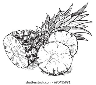 Vector hand drawn monochrome pineapple
