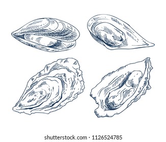 Vector hand drawn monochrome seafood edible shellfish mussel and oyster illustration. Cockleshell icon set for nautical promo poster in sketch style.