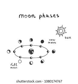 Vector hand drawn moon phases scheme. Sketch lunar phases