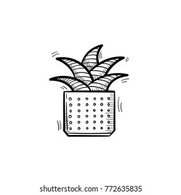 Vector hand drawn mother-in-law tongue plant outline doodle icon. Decorative potted house plant sketch illustration for print, web, mobile and infographics isolated on white background.