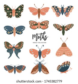 Vector hand drawn moths . Colorful  set of insects isolated on white background