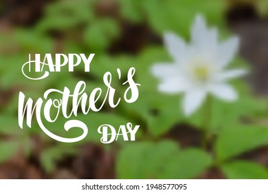 Vector hand drawn motivational and inspirational quote - Happy Mother's day. Calligraphic poster. Mother's Day design. Blurred background
