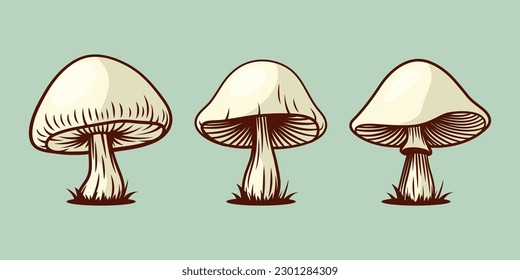 Vector Hand Drawn Mushroom With Outline Icon Set Isolated. White Pale Grebe, Fly Agaric Scetch, Doodle, Linear Sign Collection. Magic Mushroom Symbol, Design Template. Vector illustration